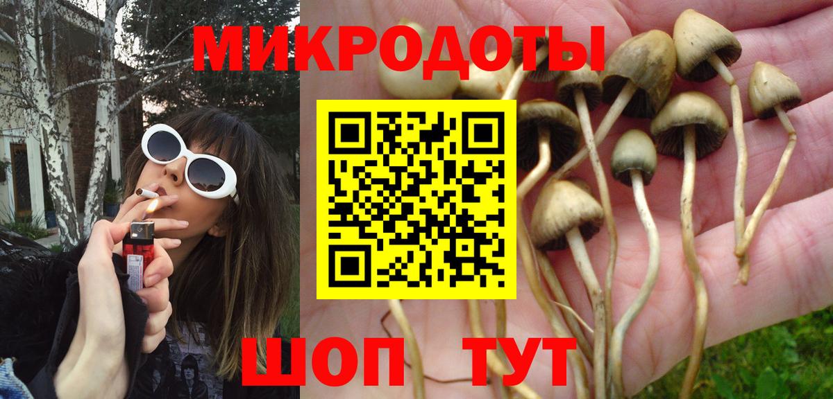 Псилоцибиновые грибы Cubensis  Псилоцибиновые грибы Magic Shrooms  Кириши  Вход с VPN 