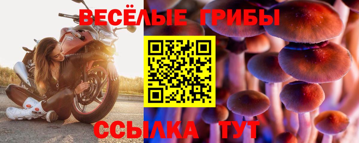 Псилоцибиновые грибы прущие грибы Кириши